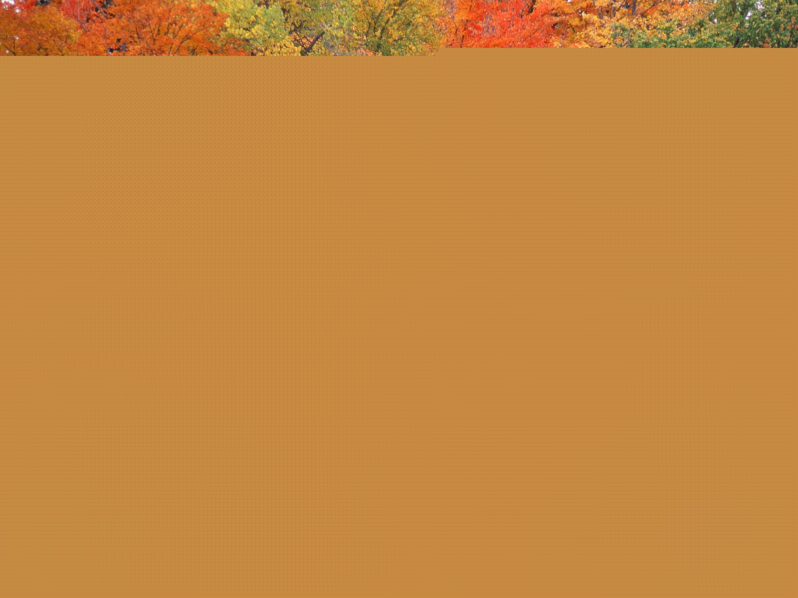 Hiawatha National Forest, Upper Peninsula, Michigan.jpg
